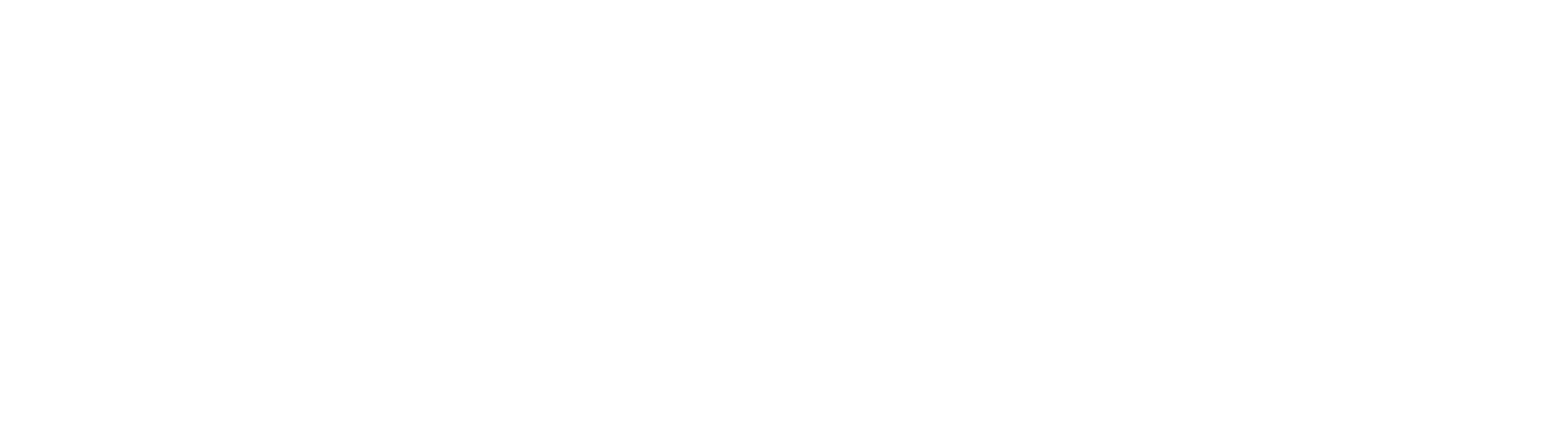 Oscar > Auto Versteeg Buurman