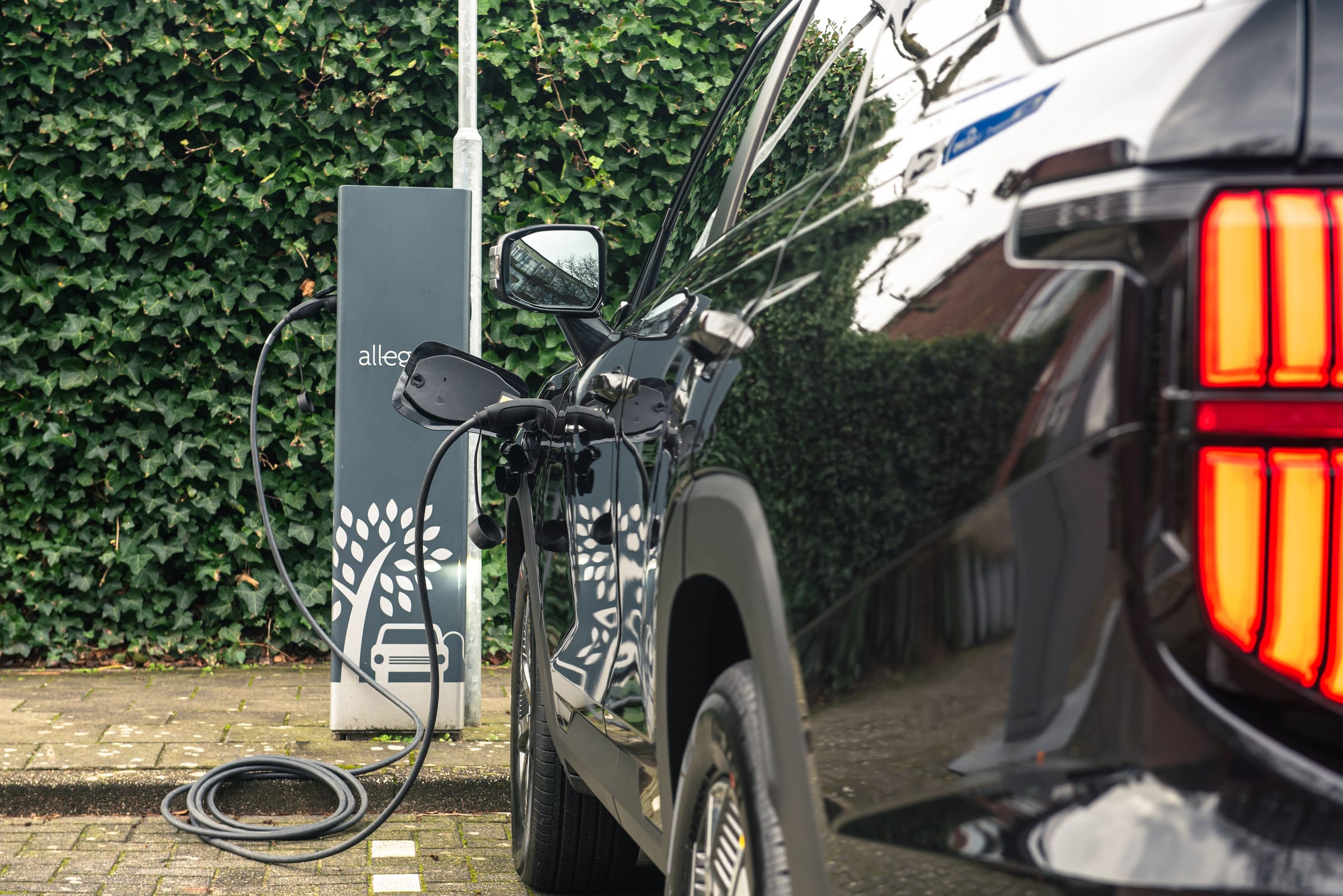 KGM Torres EVX Van > Versteeg Buurman Barneveld